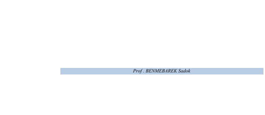 Prof   . BENMEBAREK Sadok