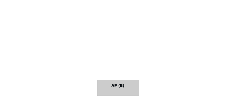 AP (B)